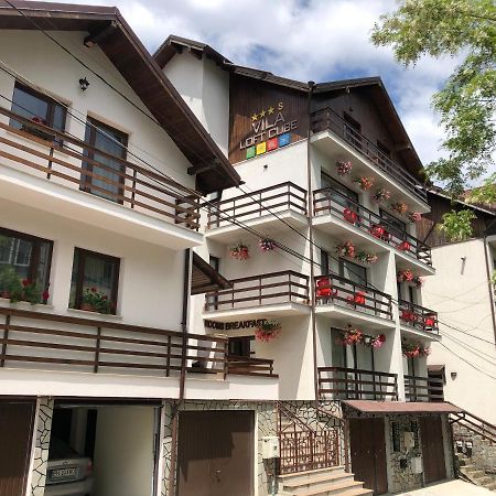 Vila Loft Cube Sinaia Exteriér fotografie