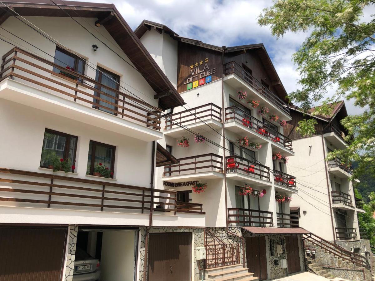 Vila Loft Cube Sinaia Exteriér fotografie
